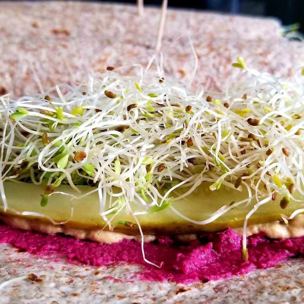 Sprouted grain wrap with Solar Power Health's Roasted Beet and Dill Hummus, pickles, and alfalfa sprouts