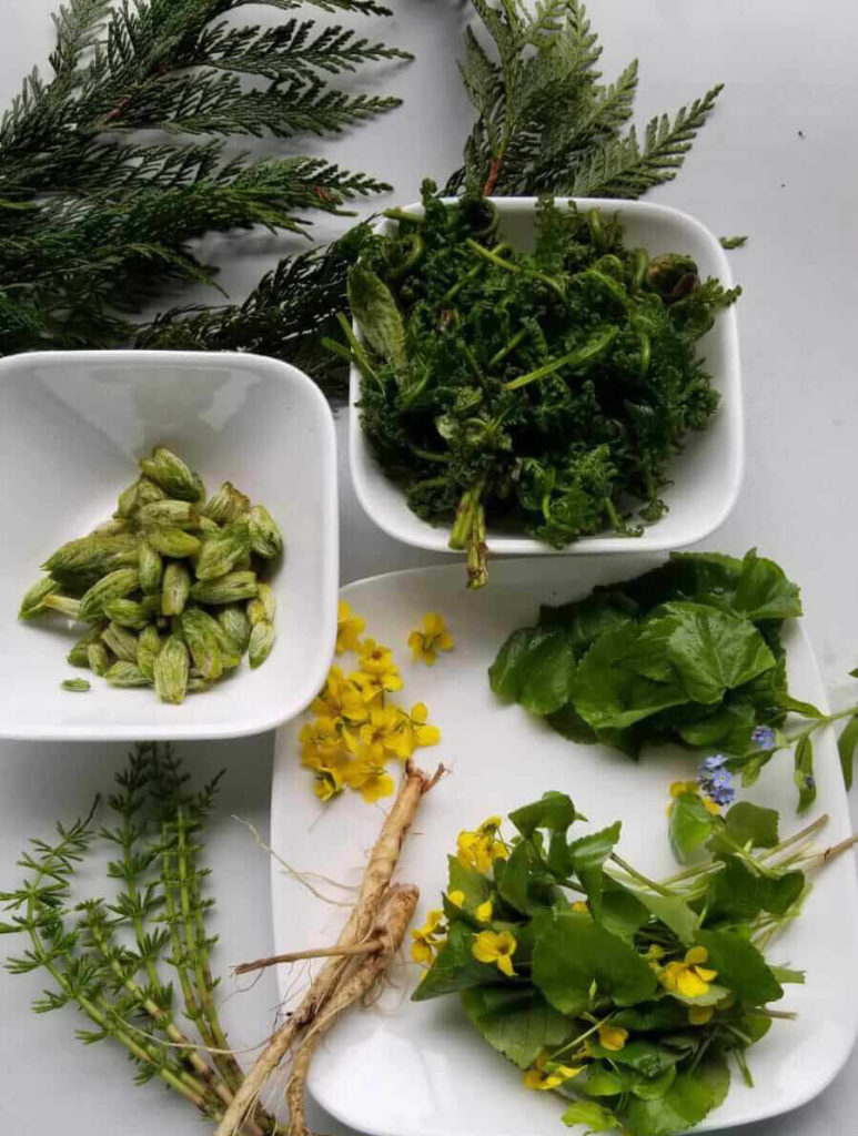 A plated array of foraged items, including small yellow flowers, cardamom pods, leaves, and other herbs. They sit in white dishes atop a white tablecloth.