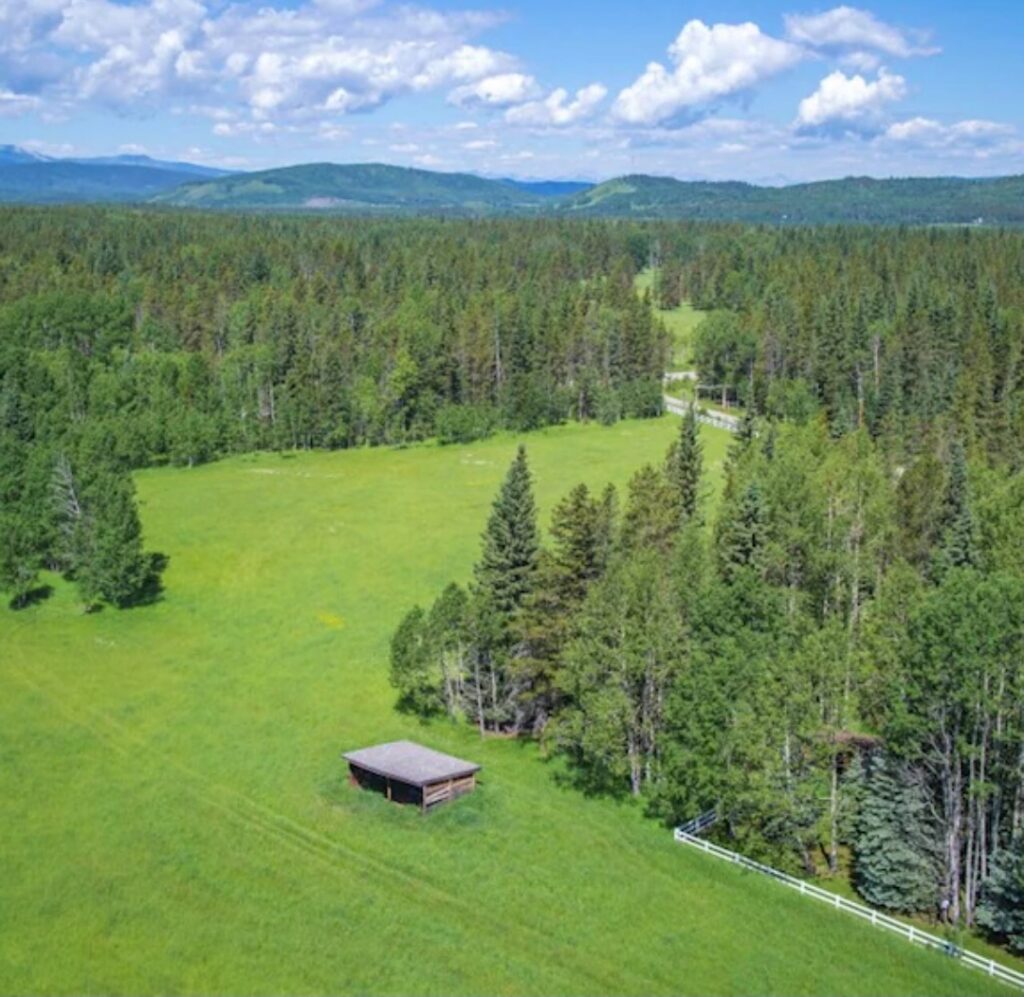 A large clearing of grass surrounded by pine trees with foothills and mountains in the background.